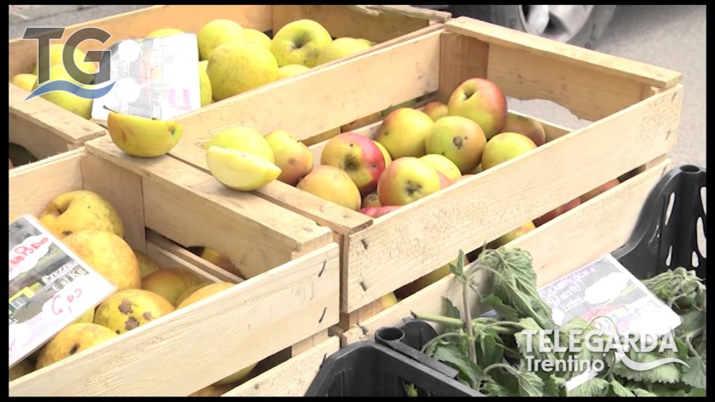 Il mercato contadino ad Arco