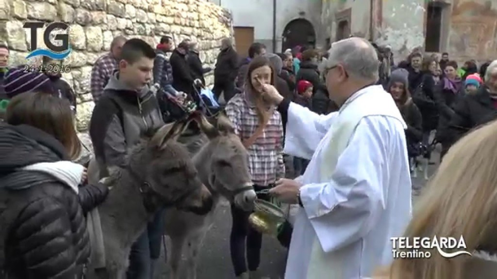 La benedizione degli animali a Chiarano