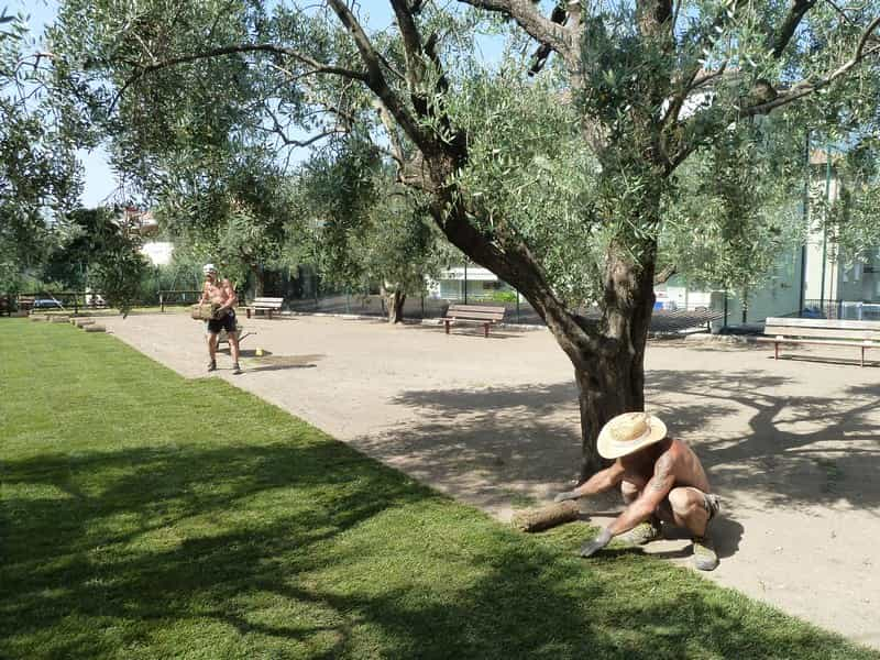 giardino-scuola-Bolognano_2