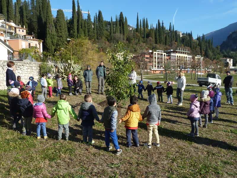 Festa-alberi-Arco-2017__04