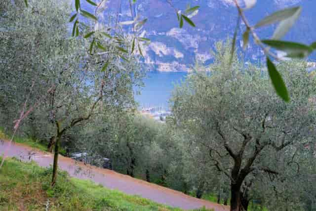 000-cover-640x427