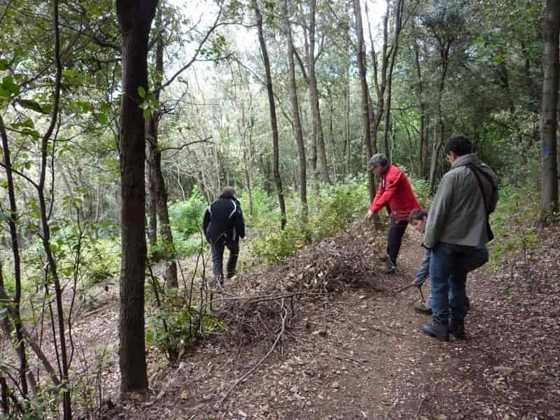 Monte-Brione-sopralluogo_2017.05.05