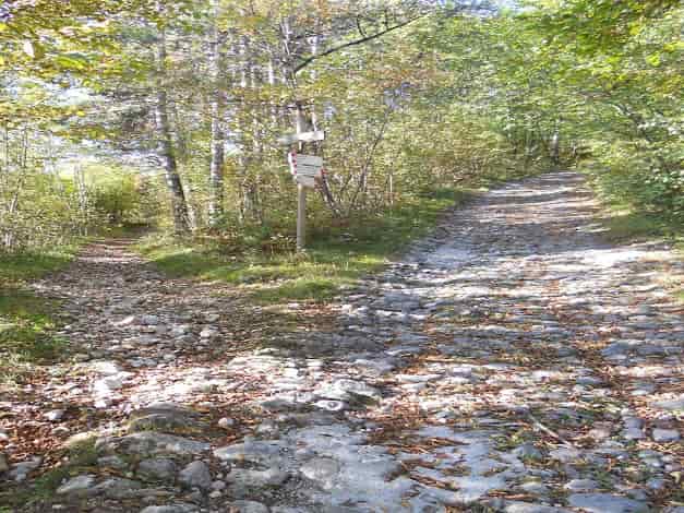 camminisanvili-2