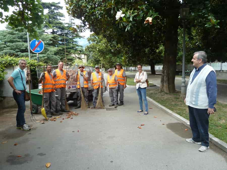 Intervento-19__06__Magnolie