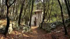 casa bosco caproni