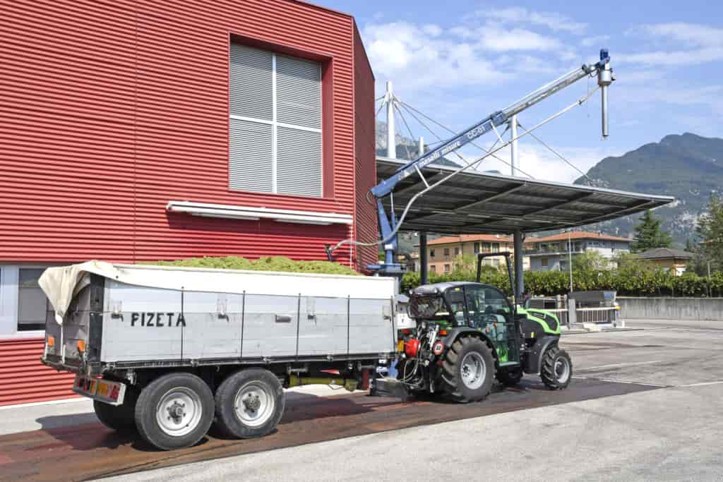 20180822_DSC4063 RIVA CONFERIMENTO UVA VENDEMMIA 2018 AGRARIA RIVA