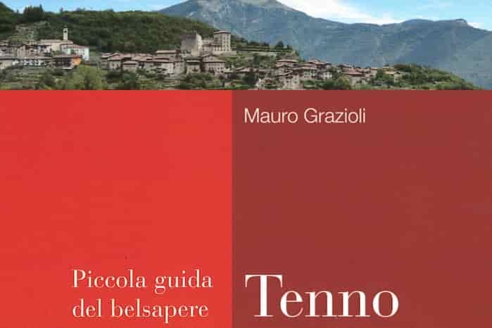 Tenno libro