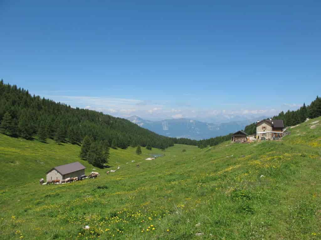 malga ZocchiGiazzera cuore del Pasubioprati panorama