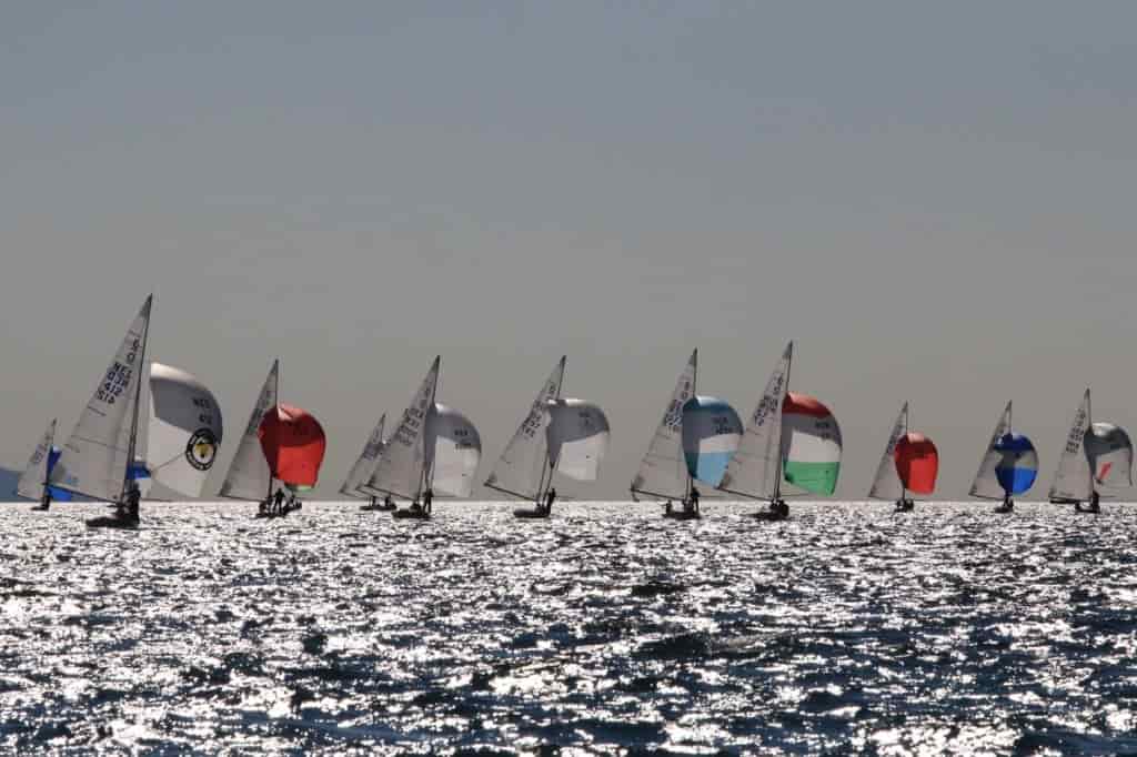 vela dragoni IMG_3097