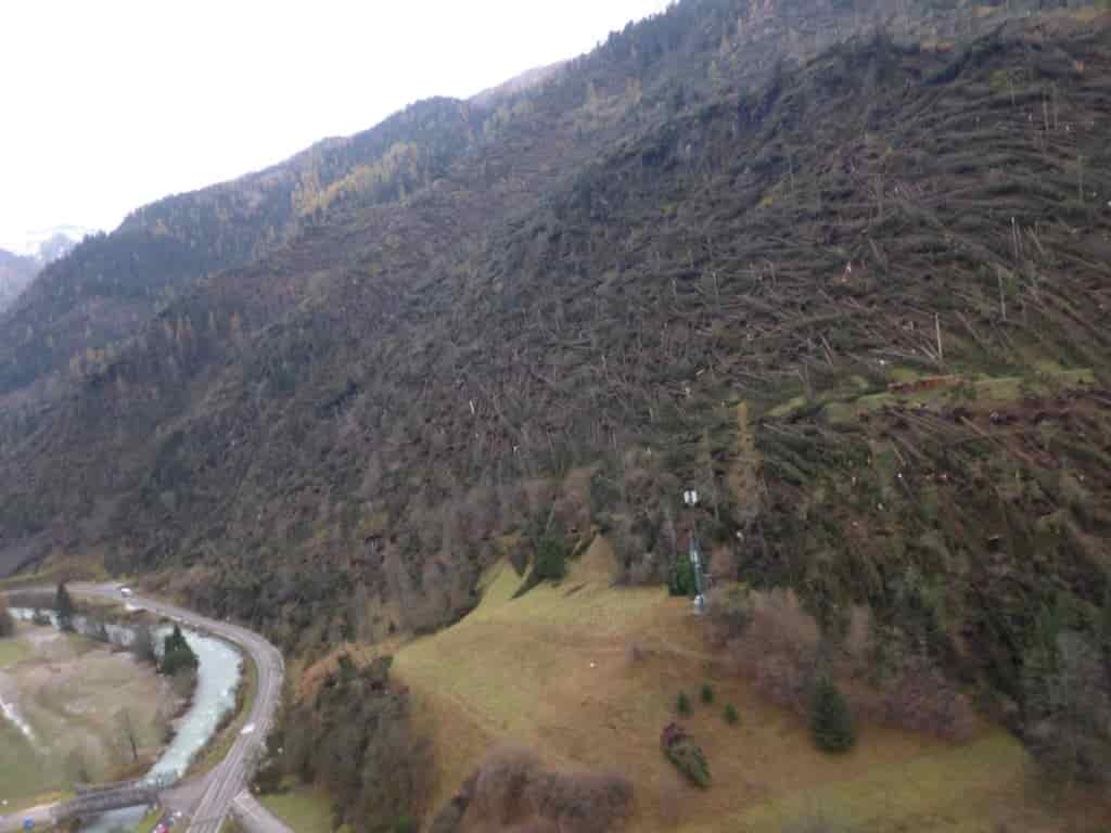 alberi caduti maltempo
