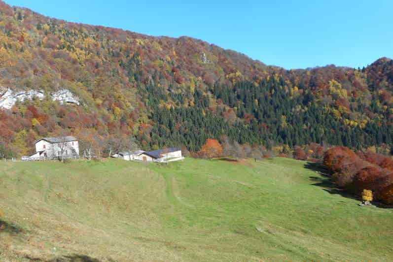 Malghe_1