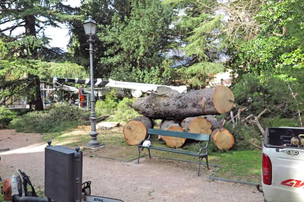 20190313IMG_2640 ARCO ABBATTIMENTO ALBERO GIARDINI