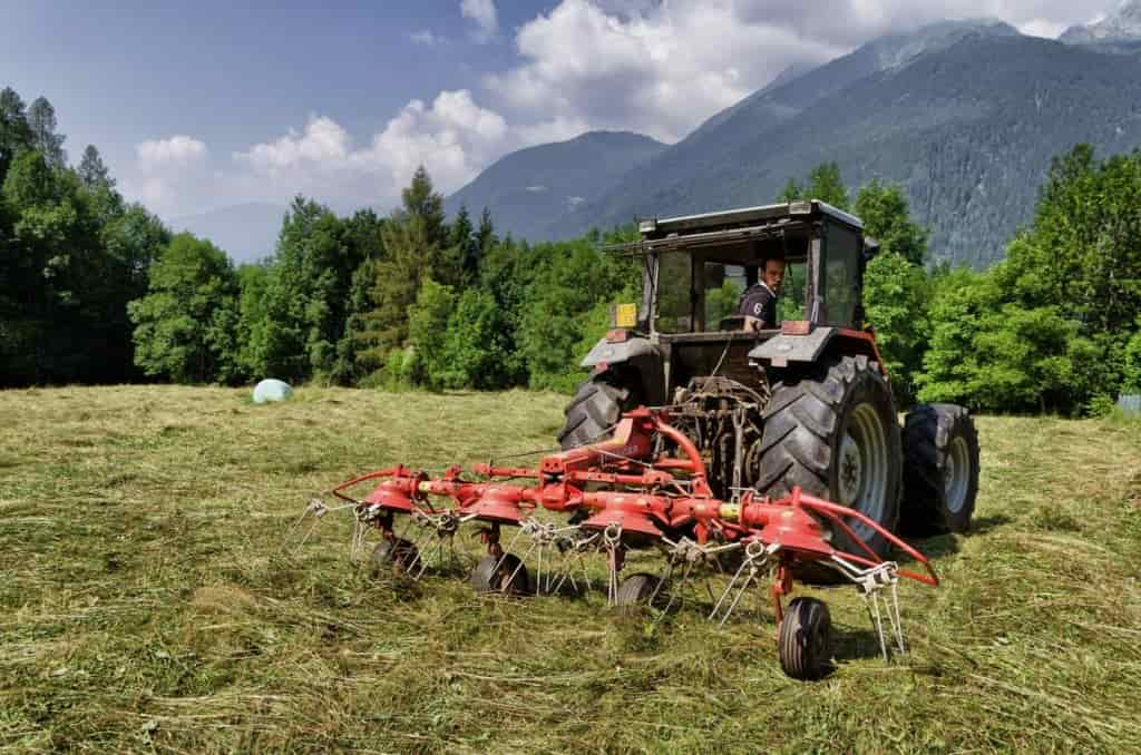 fienagionemovimento del fieno tagliato per farlo essicare