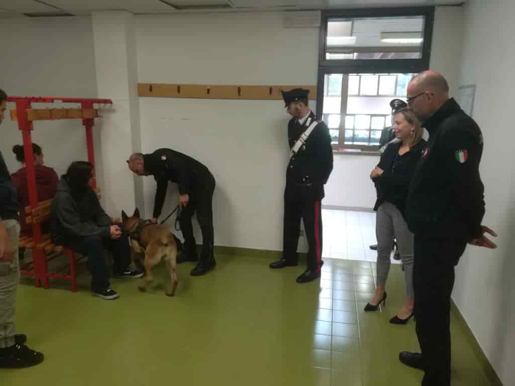 carabinieri cani antidroga scuola