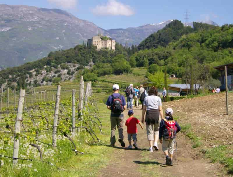 magnalonga Mangio Valle dei Laghi Archivio APT Trento