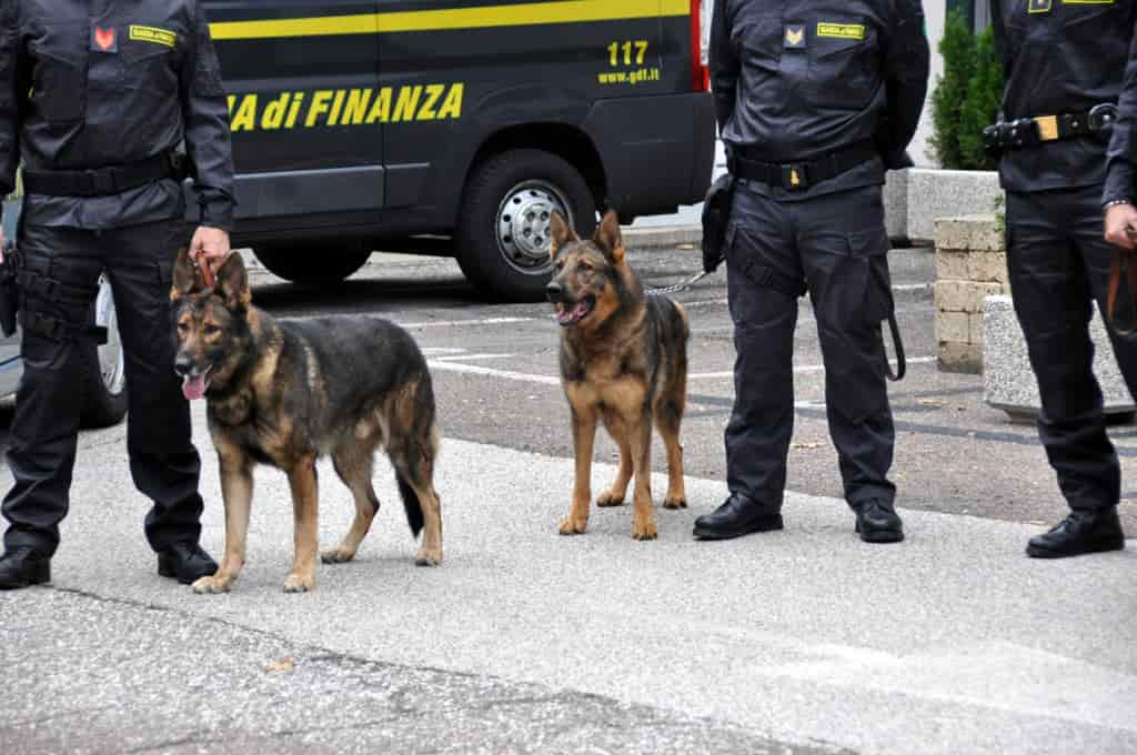 cani droga guardia di finanza DSC_0757-2_imagefullwide