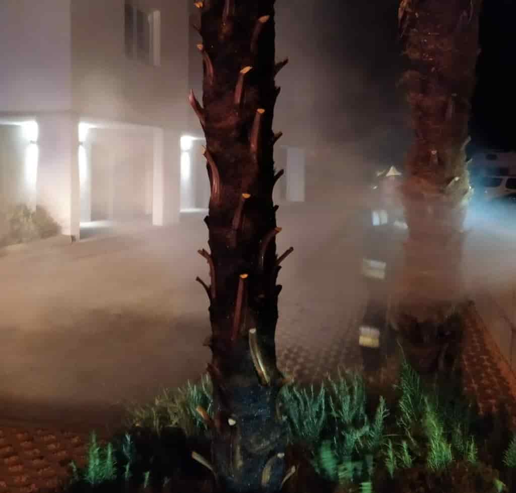 WhatsApp Image 2019-11-01 at 12.20.23