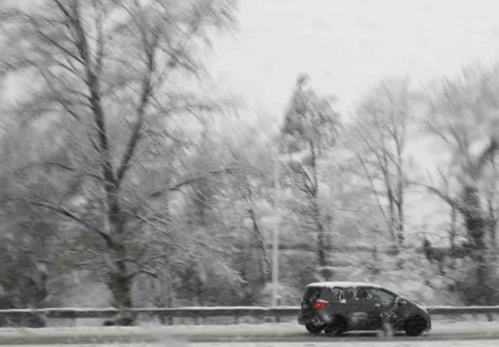 strada alberi neve