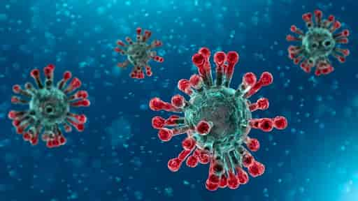 coronavirus 3