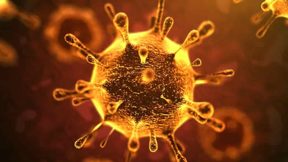 coronavirus-6