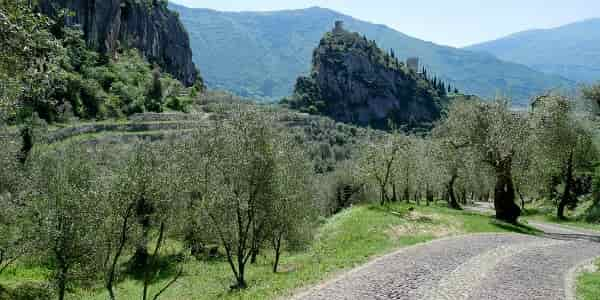 il-castello-e-l-olivaia-di-arco