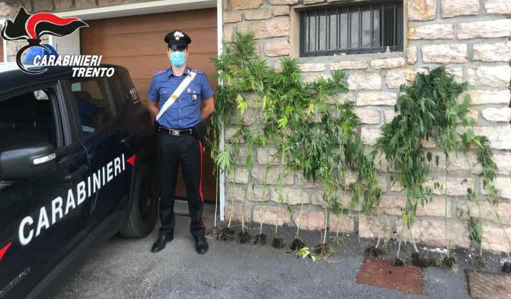 droga carabinieri Foto 2 con logo