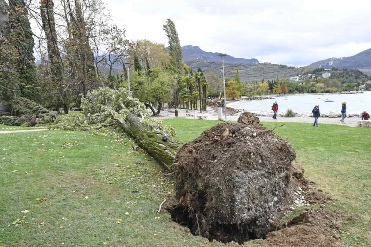 20181030_DSC6094 tempesta vaia spiaggia riva