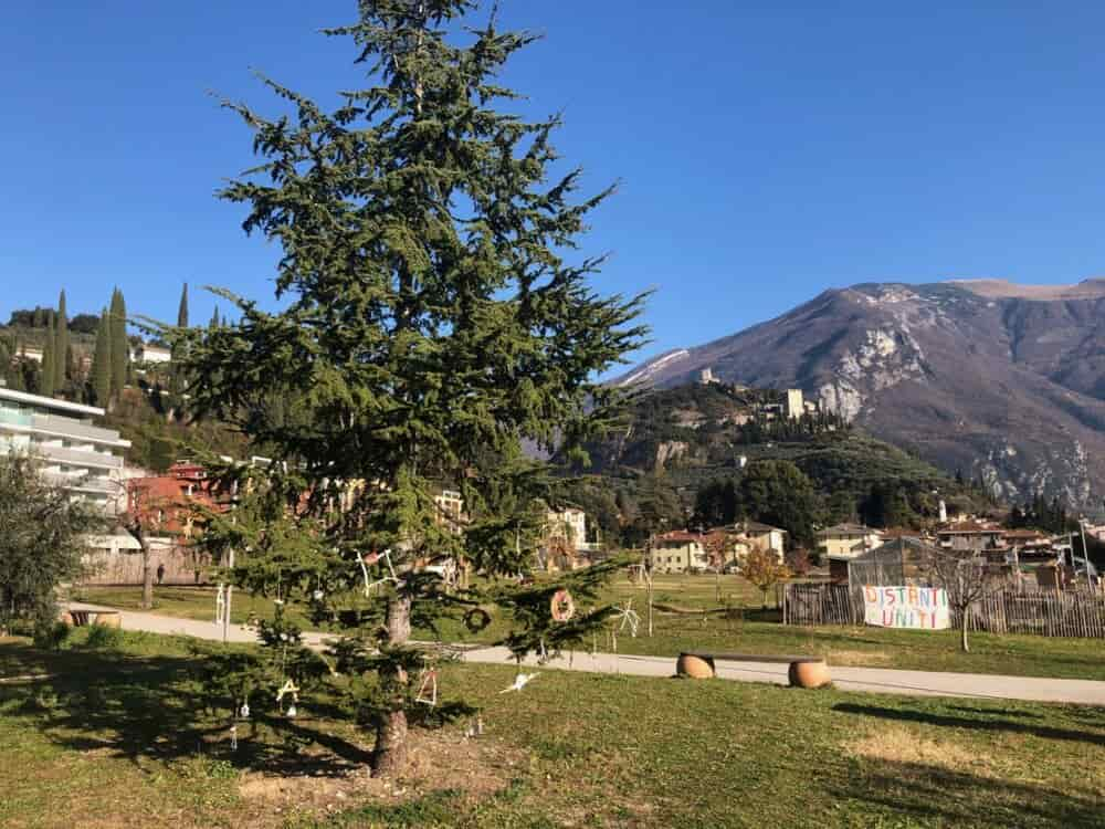 albero-Natale-parco-Mandela-02