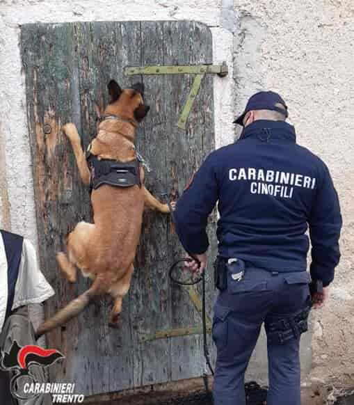 DROGA CARABINIERI ARCO VELO 1