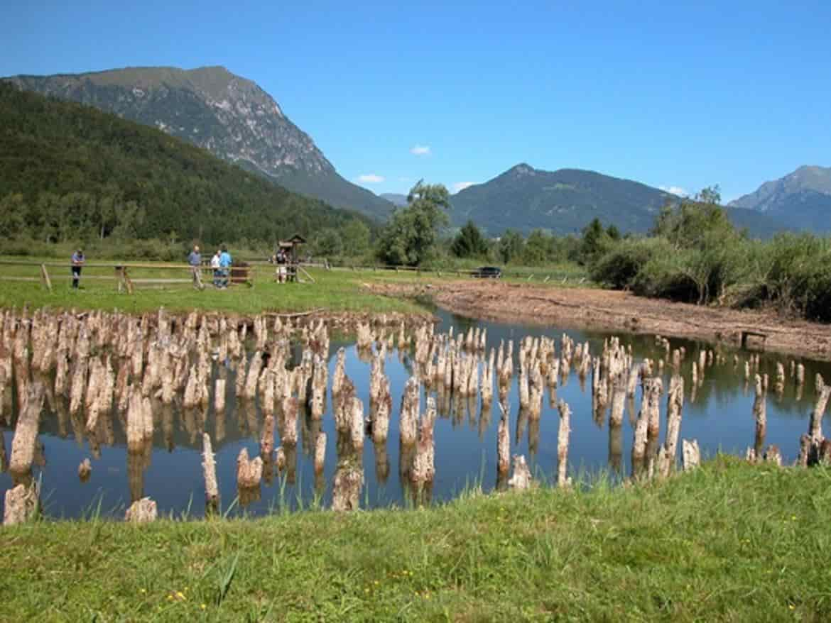 Area-archeologica-Palafitte-di-Fiave