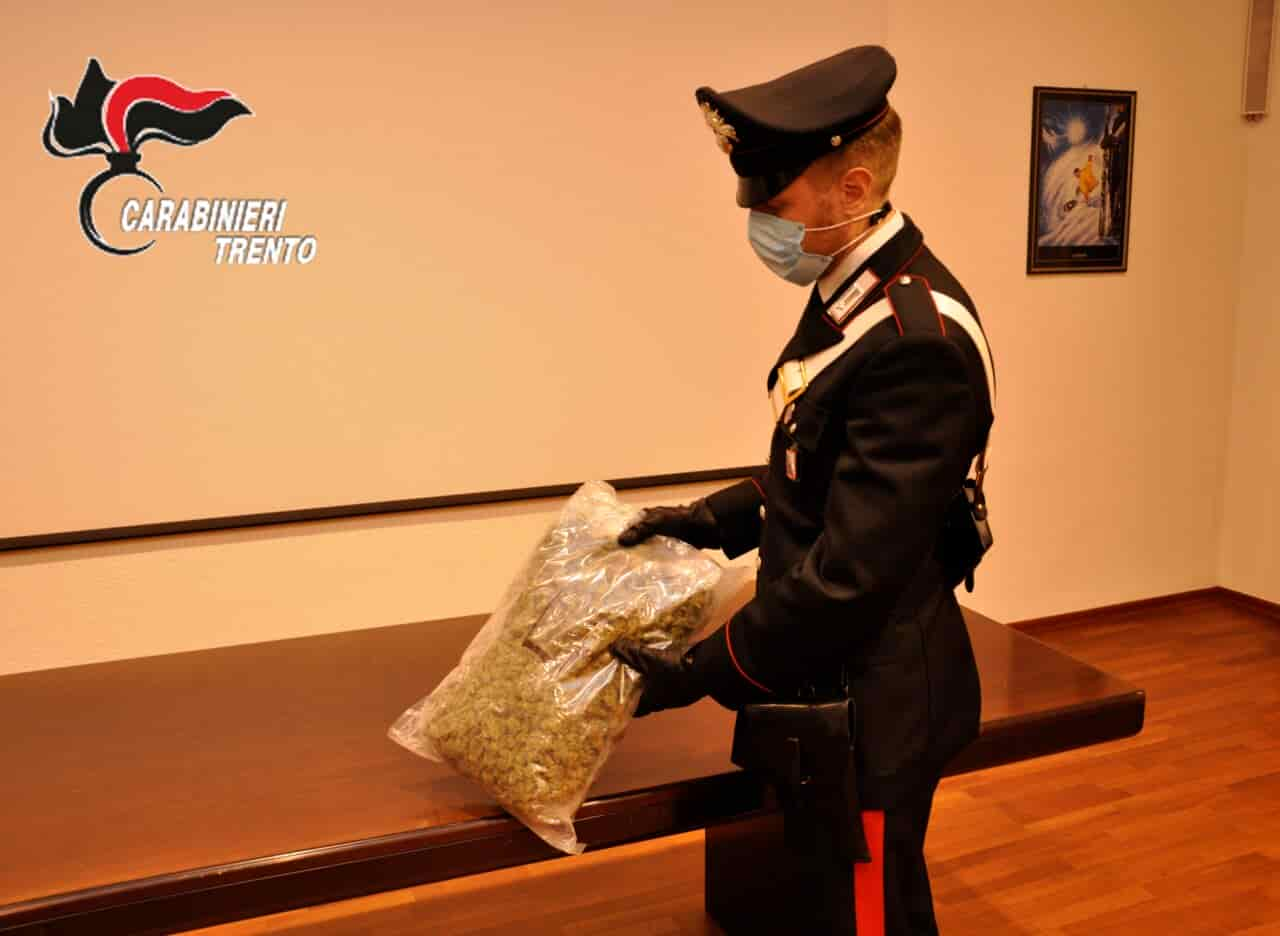 droga marijuana carabinieri