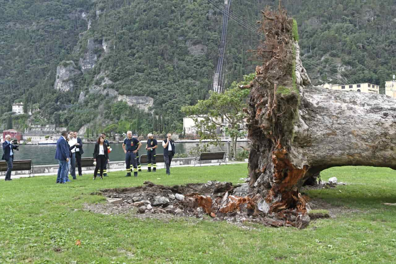 _DSC4432 DANNI MALTEMPO BUFERA RIVA ALBERO ROCCA