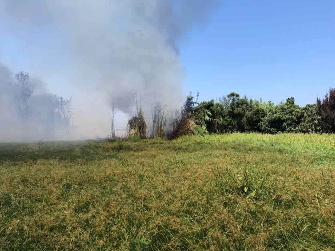 INCENDI SICILIA VIGILI FUOCO RIVA TRENTINO 4