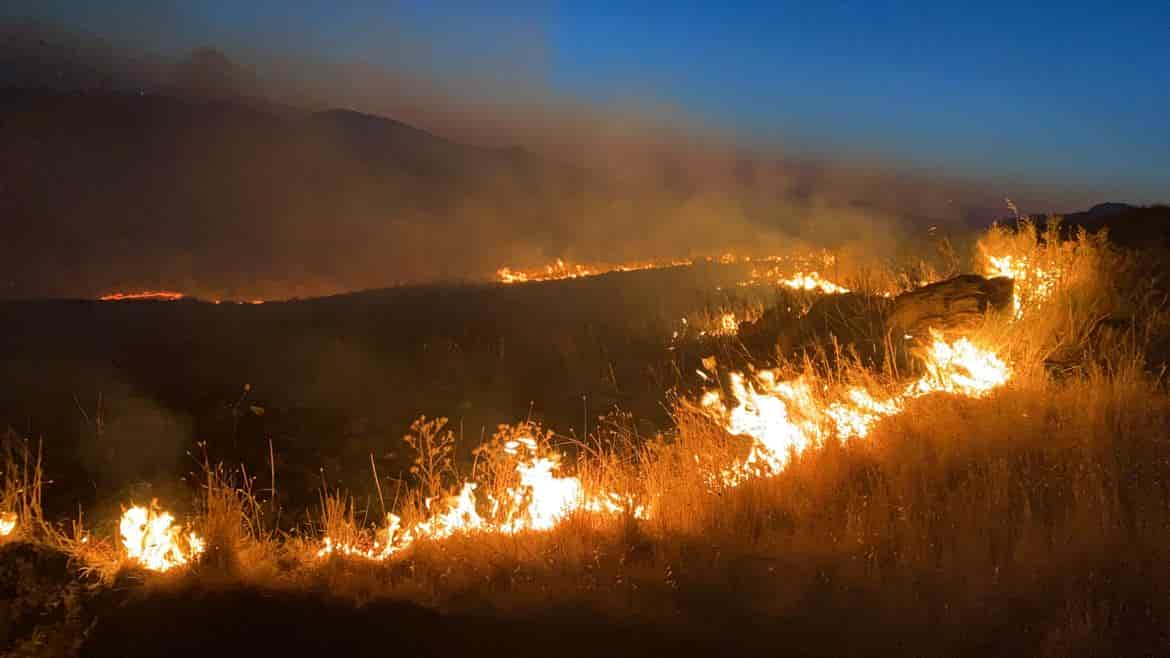 INCENDI SICILIA VIGILI FUOCO RIVA TRENTINO