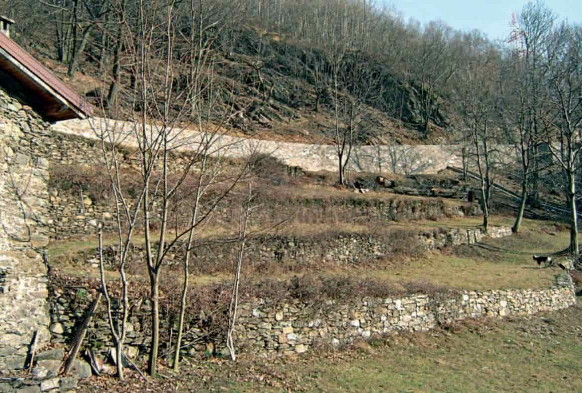 terrazzamenti CAMPAGNA TRENTINO