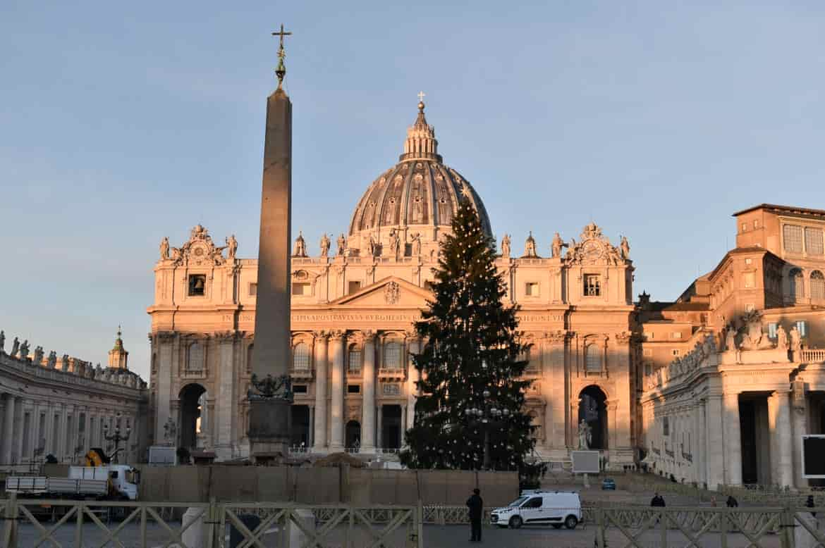 L-albero-di-Natale-donato-dal-Trentino-al-Papa-1_imagefullwide