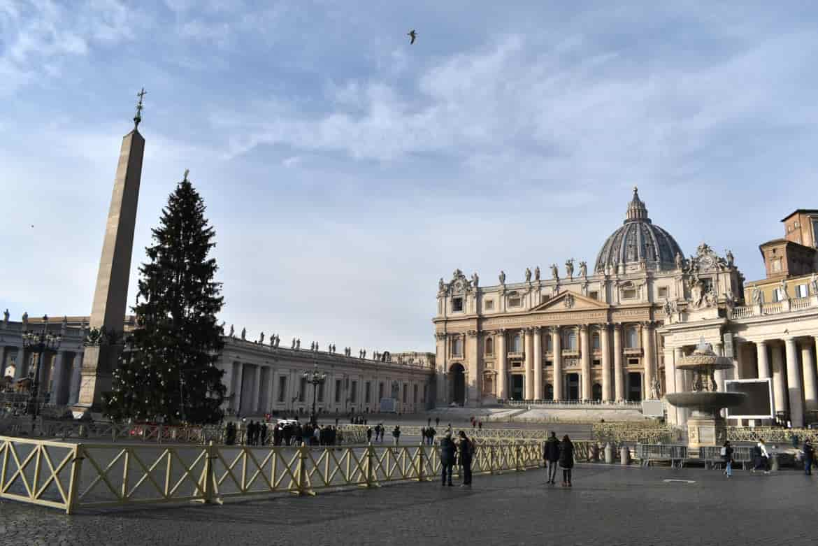 L-albero-di-Natale-donato-dal-Trentino-al-Papa1_imagefullwide