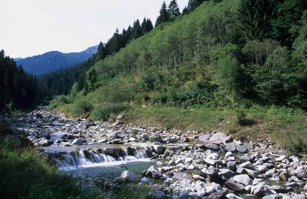 Torrente-Vanoi acqua idrica demanio