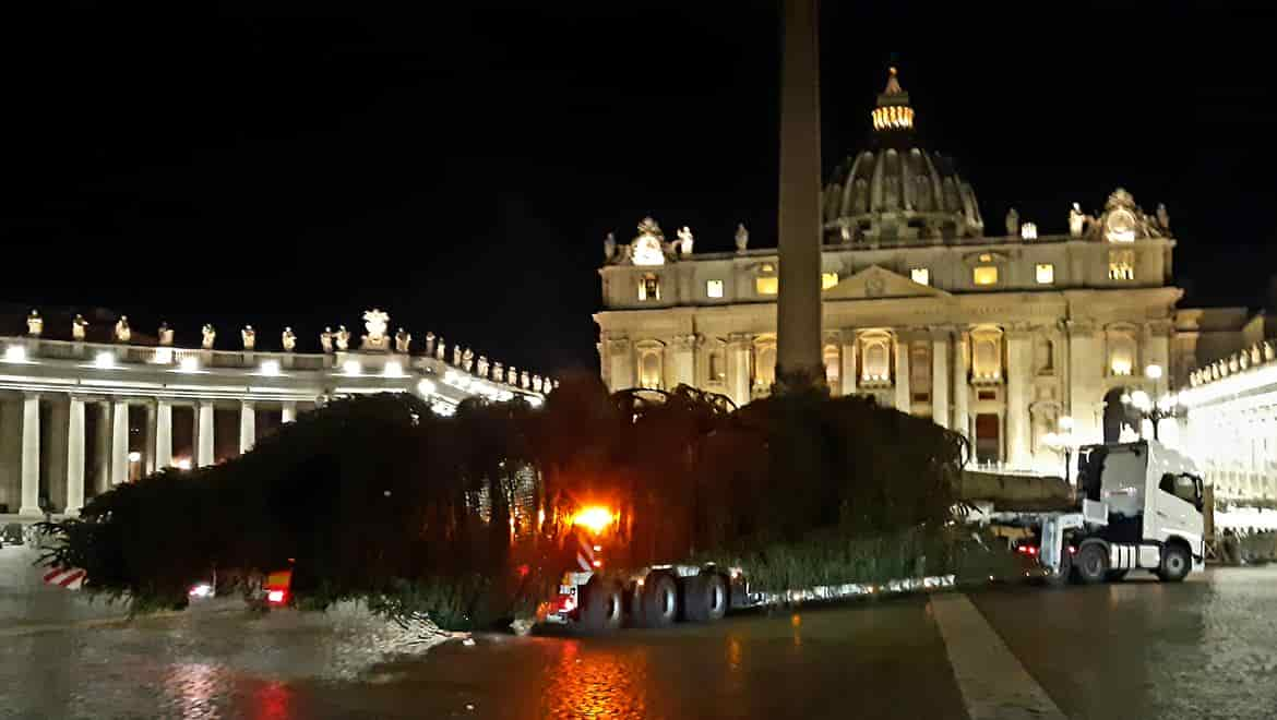 abete natale vaticano andalo 20211123_001942_imagefullwide