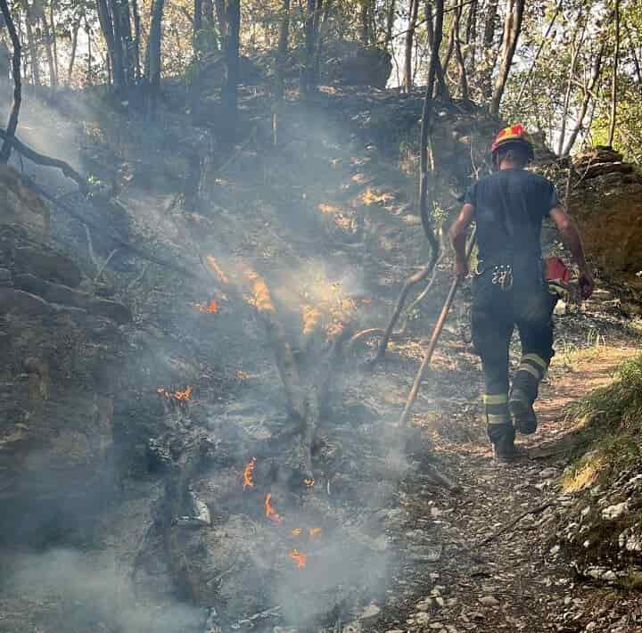 INCENDIO NAGO photo_5970080176270326562_y