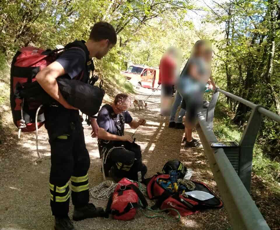 VIGILI DEL FUOCO CANE PREGASINA photo_5909234233581353195_y