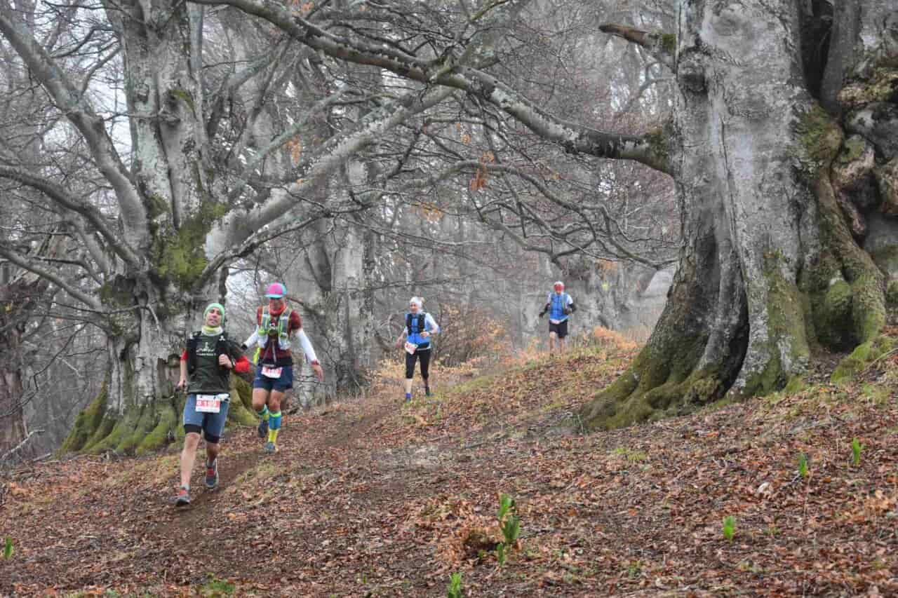 Atleti sul monte Denervo, poco sotto il tetto della Bvg Trail 2022