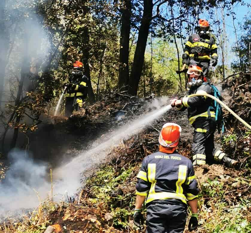 INCENDIO BOSCO PIETRAMURATA DRO VIGILI FUOCO (10)