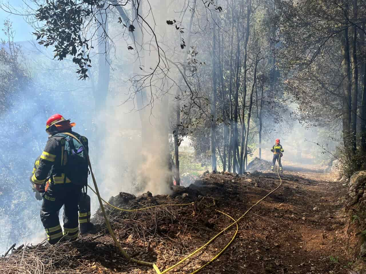 INCENDIO BOSCO PIETRAMURATA DRO VIGILI FUOCO (2)