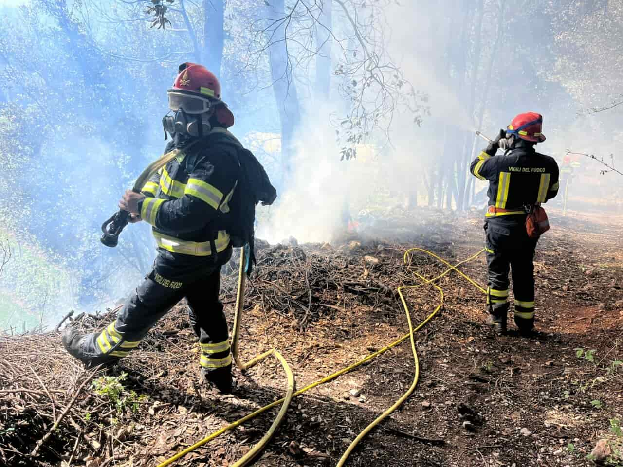 INCENDIO BOSCO PIETRAMURATA DRO VIGILI FUOCO (3)