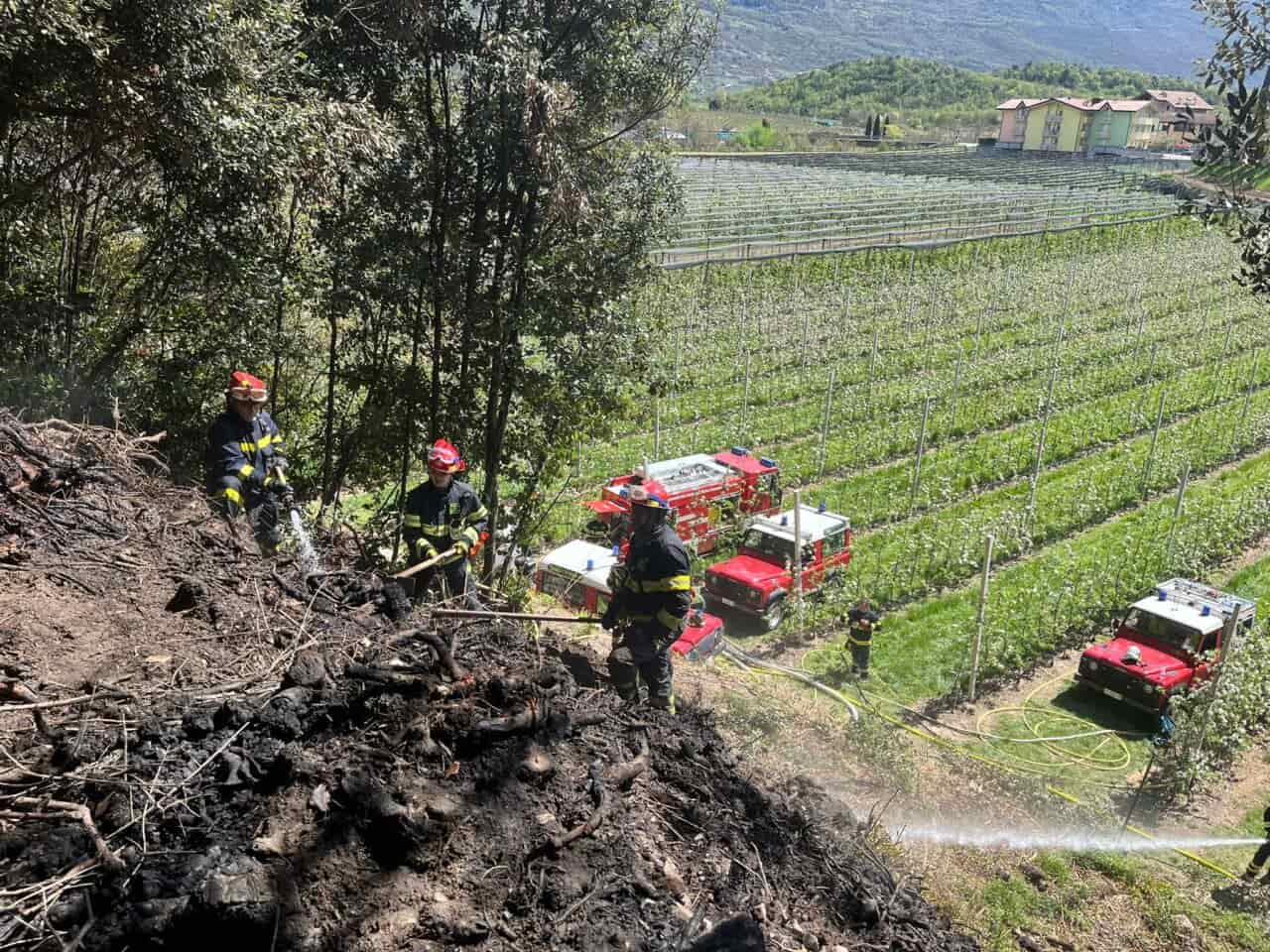 INCENDIO BOSCO PIETRAMURATA DRO VIGILI FUOCO (4)