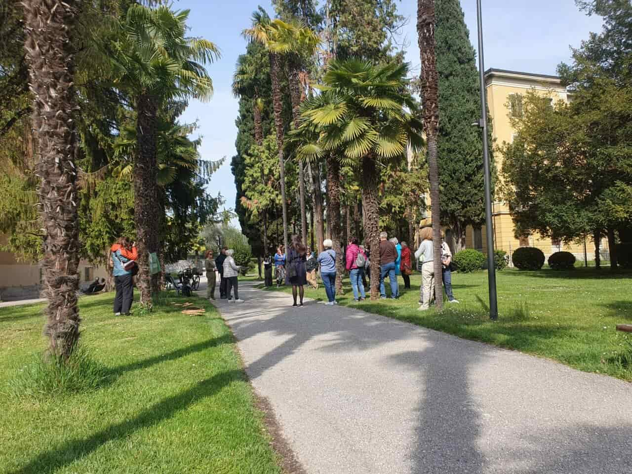 PARCO MIRALAGO PIANTE RIVA (1)