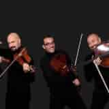 Archimia String Quartet - Riva - domenica 4