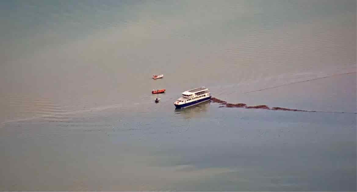 BATTELLO NAVIGARDA IMPIGLIATO RETI VIGILI FUOCO GARDA PIENA 2