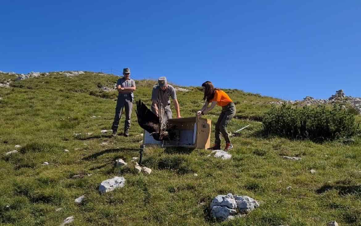 Monte-Altissimo-Liberazione-aquila-CRAS_imagefullwide